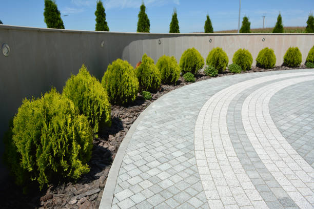 Best Best Driveway Pavers  in Marshall, MO